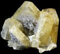 Gemmy, Yellow Barite Crystals - Meikle Mine, Nevada #63361-1